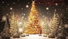 HAPPY HOLLIDAYS AND NEW YEAR 2013.