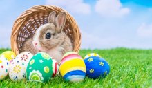 Happy Easter